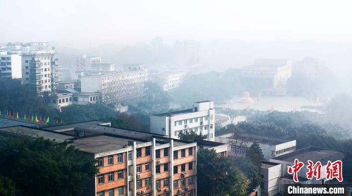 “炭黑村”变身“健康村” 重庆石化企业的绿色发展之路